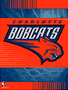 Charlotte Bobcats Licenced Products