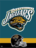 Jacksonville Jaguars Licenced Products
