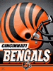 Cincinnati Bengals Licenced Products