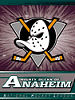 Anaheim Ducks Licenced Products