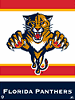 Florida Panthers Licenced Products