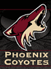 Phoenix Coyotes Licenced Products